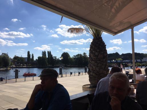 Palmen ringsherum - wäre in Twentynine Palms nicht anders